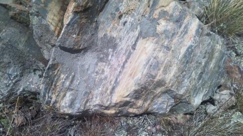 Гигантские зелёные валуны для ландшафтного дизайна весом более 5 тонн купить в Сочи