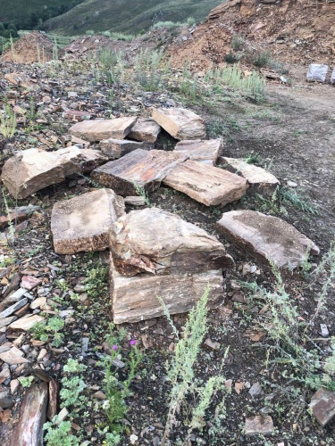 Плитняк кора дерева 50-100мм для пошаговых дорожек купить в Сочи